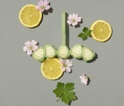 Marcel's Green Soap Toiletblok Geranium & Citroen - 55 Gram 11 Marcel's Green Soap Toiletblok Geranium & Citroen - 55 Gram -Reinigingsproducten 1200x1023