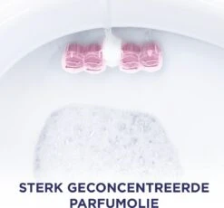 Glorix Aroma Lux Pink Jasmine & Elderflower Toiletblokken - 9 Stuks - Voordeelverpakking 10 Glorix Aroma Lux Pink Jasmine & Elderflower Toiletblokken - 9 Stuks - Voordeelverpakking -Reinigingsproducten 1200x1118 4
