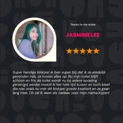 Merkloos Toiletblokjes Voor Inbouwreservoirs – WC-blokjes – Toiletblokken In Een Voordeelverpakking – 30 Stuks -Reinigingsproducten 1200x1200 366