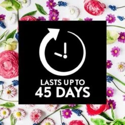 Air Wick Essential Mist Automatische Geurverspreider Luchtverfrisser - Innerlijke Rust - Navulling 17 Air Wick Essential Mist Automatische Geurverspreider Luchtverfrisser - Innerlijke Rust - Navulling -Reinigingsproducten 1200x1200 428