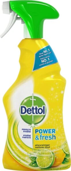 Dettol - Power & Fresh - Allesreinger Spray - Citrus - 6 X 500 Ml -Reinigingsproducten 504x1200
